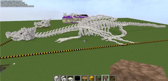 Dragon Skeleton Structure Minecraft schematic