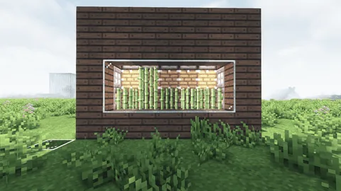 Easy Automatic Sugarcane Farm Minecraft schematic