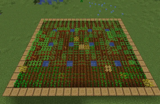 Field 21x17 Area Minecraft schematic