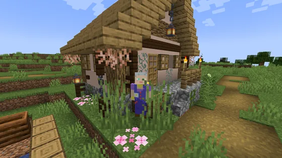 Medieval Village Jackdaw Hollow Minecraft schematic