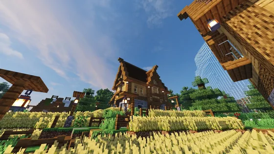 Medieval House With Dark Oak Accents Minecraft schematic