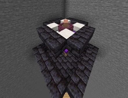 Semi-Automatic Villager Farm Minecraft schematic