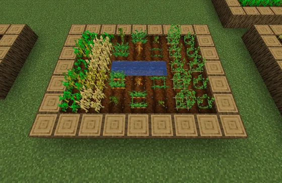 Simple 9x7 Farm Plot Minecraft schematic