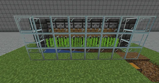 Simple Automatic Sugar Cane Farm Minecraft schematic